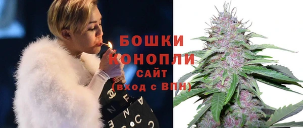 твердый Новозыбков