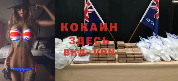 твердый Новозыбков