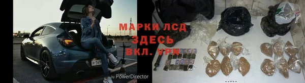 твердый Новозыбков