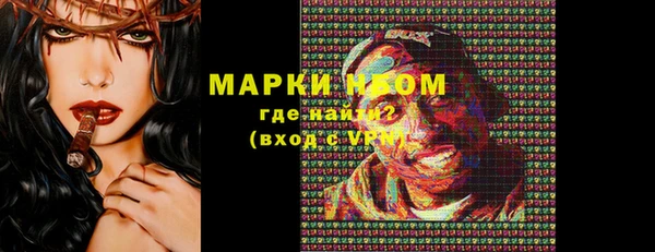 твердый Новозыбков