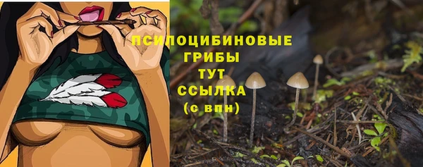 твердый Новозыбков