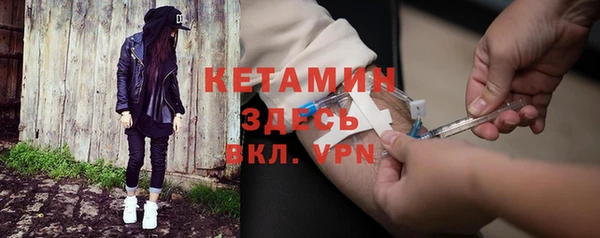 твердый Новозыбков
