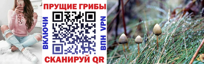 Псилоцибиновые грибы мухоморы  Безенчук 